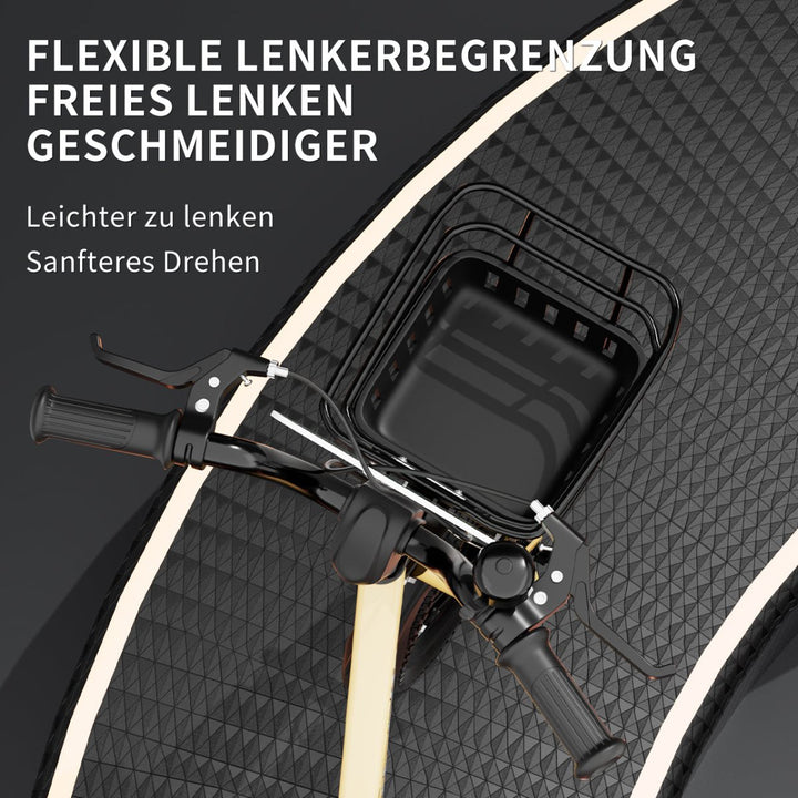 Habib Gruppe Dino Jungenfahrrad 12" 14" 16" | Set mit Schutzpads & Pumpe - Europebazar