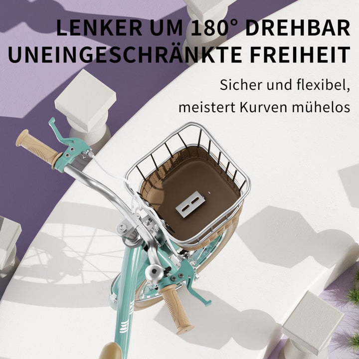Habib Gruppe Mädchenfahrrad Klassik | Inkl. Luftpumpe & 6 - teiligem Schutz - Set | Karbonstahlrahmen & Duales Bremssystem | Mitwachsend & sicher für Mädchen 3 - 8 Jahre - Europebazar