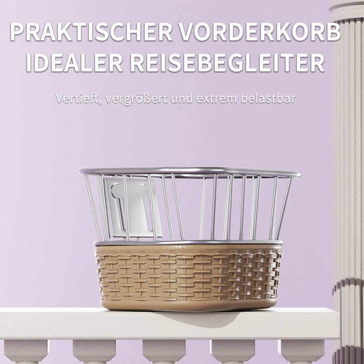 Habib Gruppe Mädchenfahrrad Klassik | Inkl. Luftpumpe & 6 - teiligem Schutz - Set | Karbonstahlrahmen & Duales Bremssystem | Mitwachsend & sicher für Mädchen 3 - 8 Jahre - Europebazar