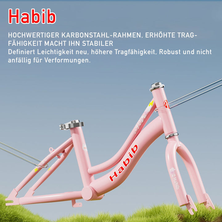 Habib Gruppe Prinzessin Fahrrad 12" 14" 16" | Komplett - Set mit Korb & Box - Europebazar
